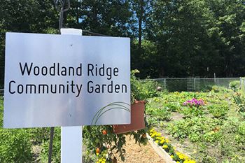 Community garden